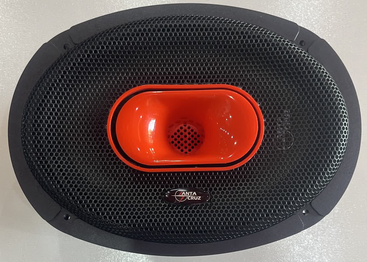 میدرنج فول رنج بیضی خودرو مارک سانتا کروز مدل CO-TAF6902 بسته 2 عددی